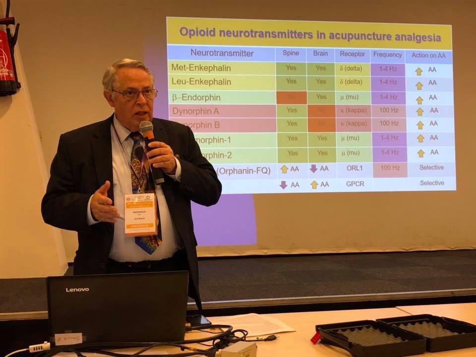 47161797_10155911800776828_739039961835110400_n