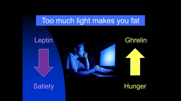 Too much light makes you fat